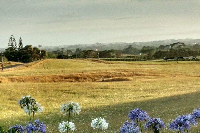 Photo of property in 12 Codlin Road, Otaua, Waiuku, 2683