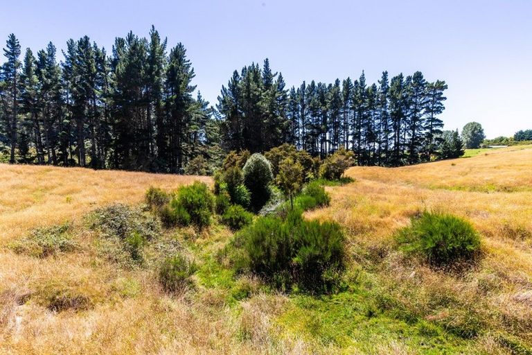 Photo of property in 65 Omori Road, Kuratau, Turangi, 3381