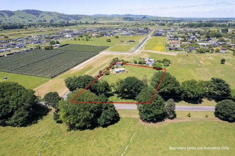 Photo of property in 310 Lamb Street, Leamington, Cambridge, 3495