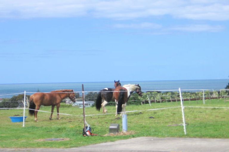 Photo of property in 161 Koutunui Road, Athenree, Waihi Beach, 3177