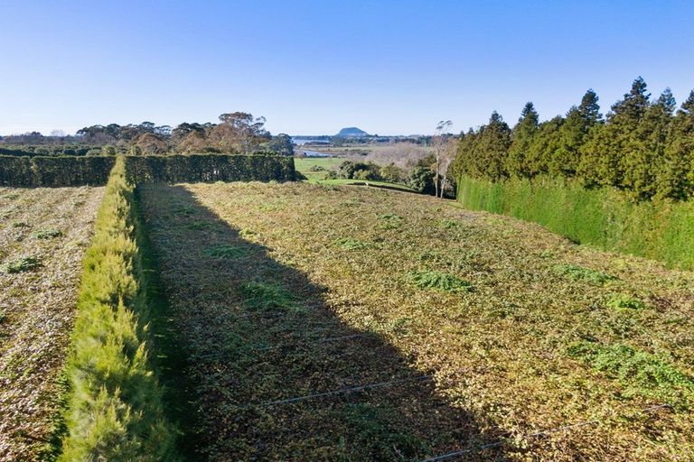 Photo of property in 40 Clarke Road, Te Puna, Tauranga, 3176