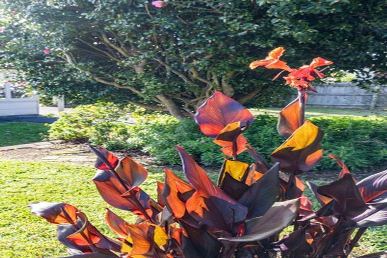 Photo of property in 54 Rayner Road, Huntly, 3700