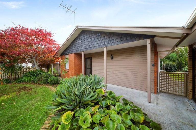 Photo of property in 82b Carrington Street, Lower Vogeltown, New Plymouth, 4310