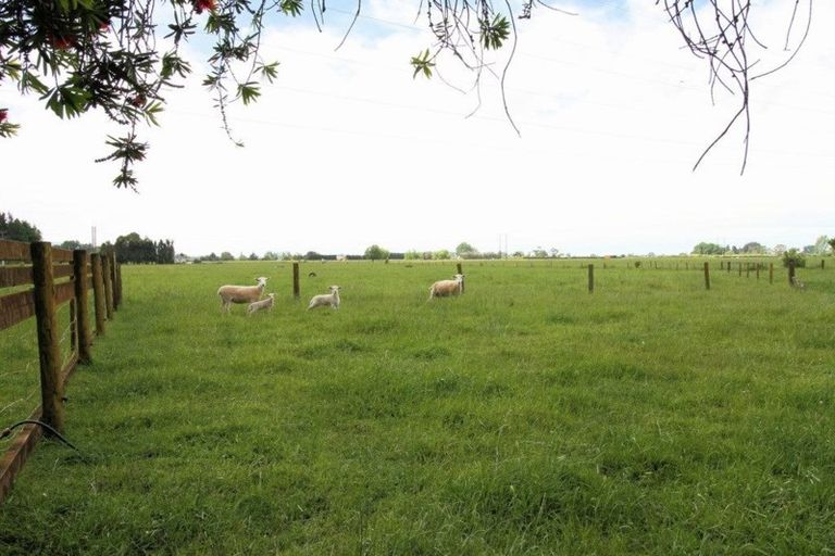 Photo of property in 99 Hallett Road, Otakiri, Whakatane, 3192