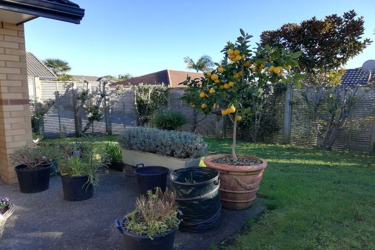 Photo of property in 33 Thomas Moore Place, Pukekohe, 2120