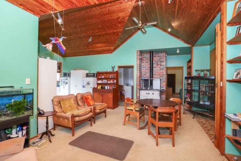 Photo of property in 10 Totara Grove, Hillcrest, Auckland, 0627