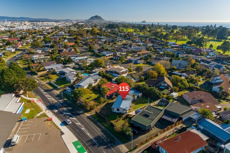 Photo of property in 115 Links Avenue, Mount Maunganui, 3116