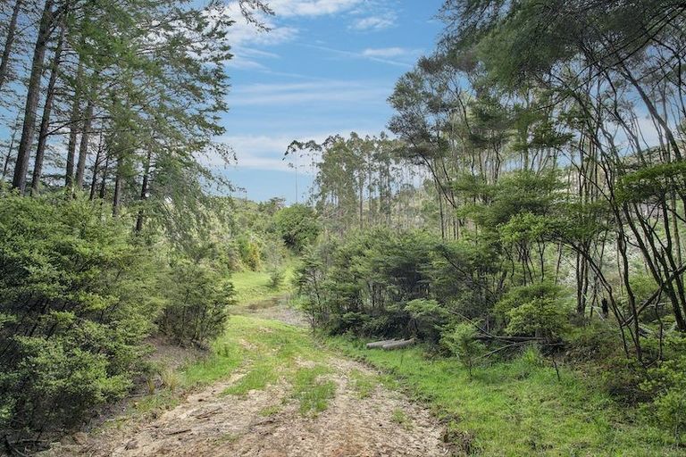 Photo of property in 259 Diggers Valley Road, Herekino, Kaitaia, 0481