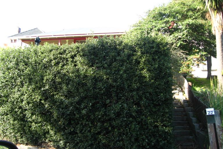 Photo of property in 22 Gillespie Street, North East Valley, Dunedin, 9010