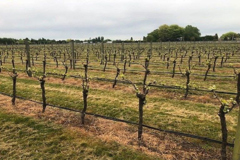 Photo of property in 638 Harewood Road, Harewood, Christchurch, 8051