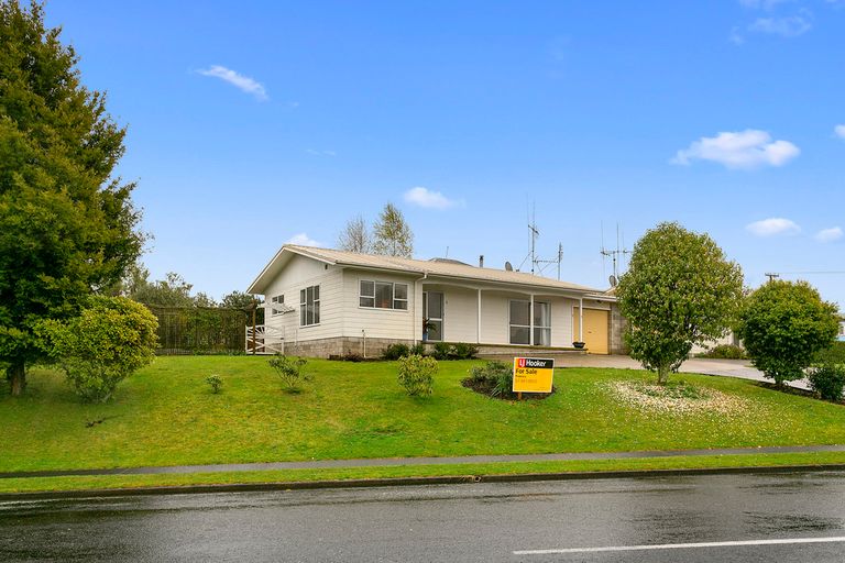 Photo of property in 57b Neal Street, Putaruru, 3411