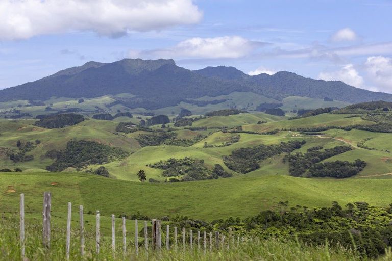 Photo of property in 132 Maungatawhiri Road, Raglan, 3295