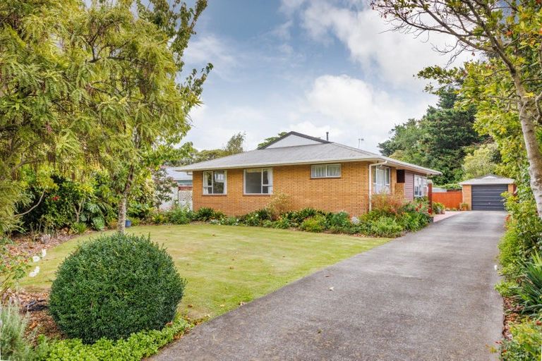 Photo of property in 18 Lane Place, Awapuni, Palmerston North, 4412