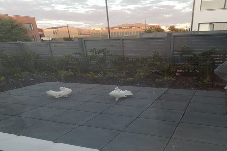 Photo of property in 22a Harewood Street, Whenuapai, Auckland, 0618