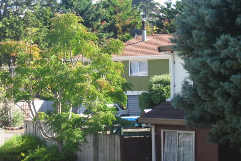 Photo of property in 45 Kohekohe Street, New Lynn, Auckland, 0600