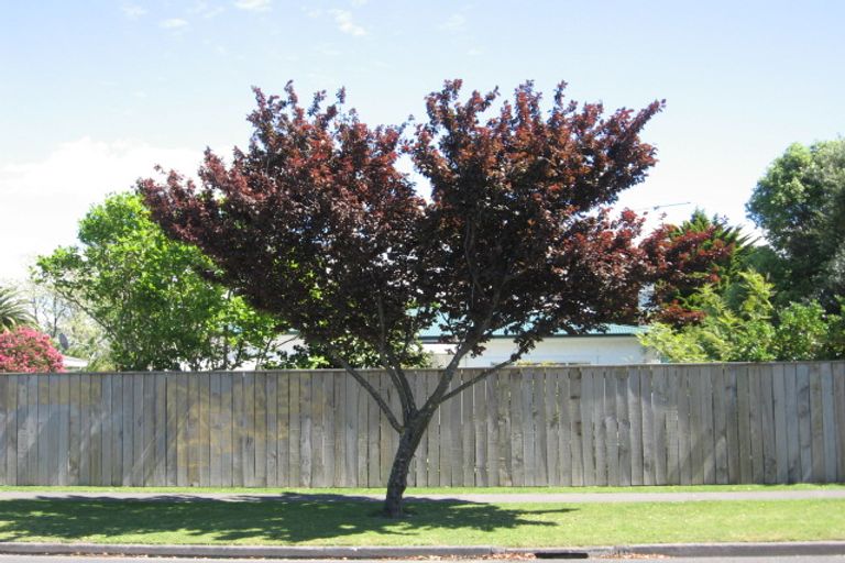 Photo of property in 134 Harris Street, Inner Kaiti, Gisborne, 4010