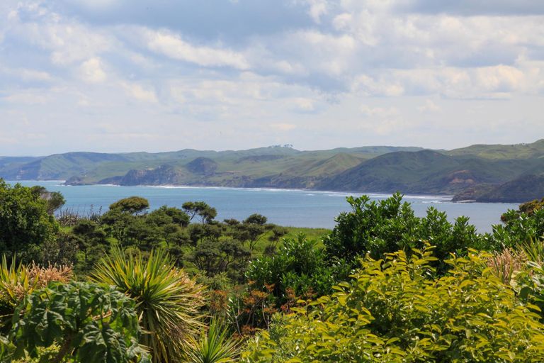 Photo of property in 16 Upper Wainui Road, Raglan, 3297
