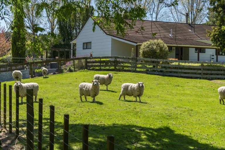 Photo of property in 906 Tukairangi Road, Acacia Bay, Taupo, 3385