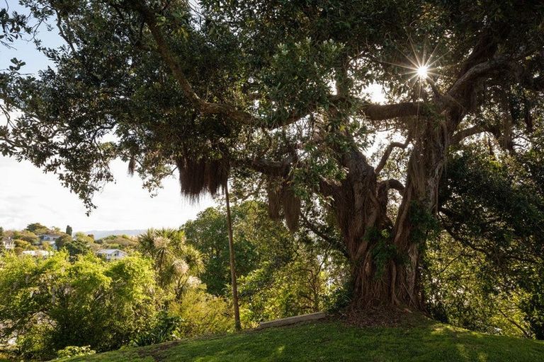 Photo of property in 20 Moana Drive, Tanners Point, Katikati, 3177