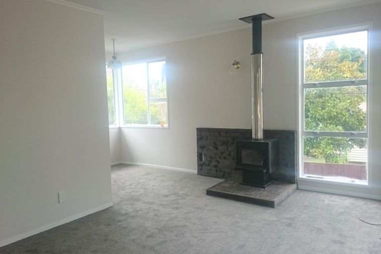 Photo of property in 63 Nikau Street, New Lynn, Auckland, 0600