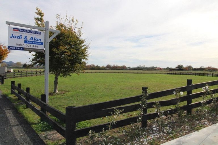 Photo of property in 24 Eldonwood Drive, Matamata, 3400