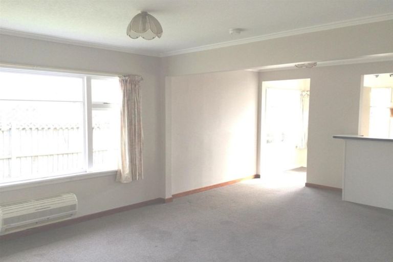Photo of property in 141 Sparks Road, Hoon Hay, Christchurch, 8025