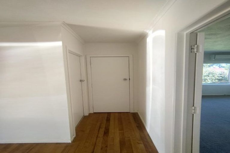 Photo of property in 43 Claude Road, Hillpark, Auckland, 2102