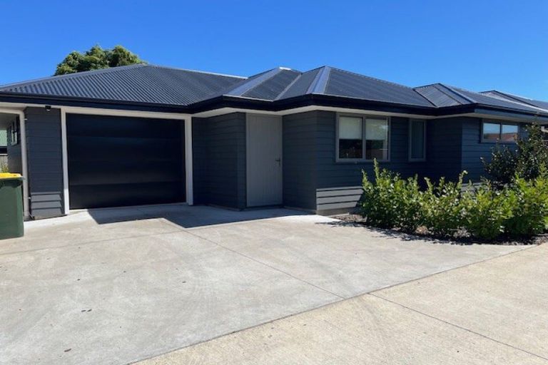 Photo of property in 30a Duke Street, Levin, 5510