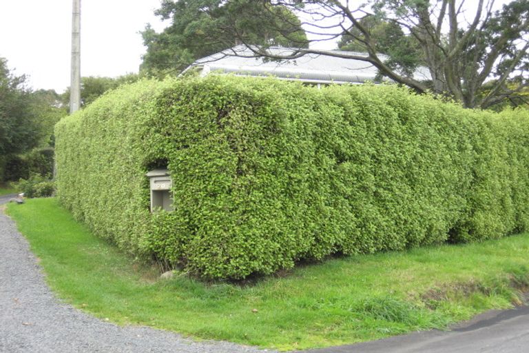 Photo of property in 20 Ensor Street, Burnside, Dunedin, 9011
