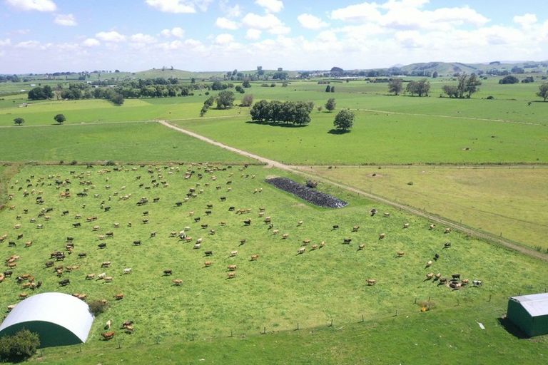 Photo of property in 231 Grice Road, Rotoorangi, Cambridge, 3495