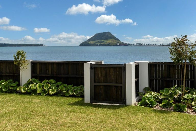 Photo of property in 2b Kulim Avenue, Otumoetai, Tauranga, 3110