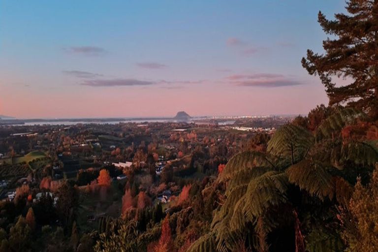 Photo of property in 86a Te Puna Quarry Road, Minden, Tauranga, 3179