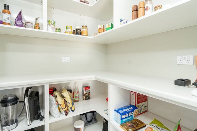 Photo of property in 19 Trewern Avenue, Chartwell, Hamilton, 3210