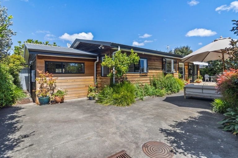 Photo of property in 68b Gribblehirst Road, Sandringham, Auckland, 1025