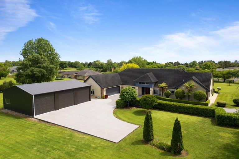 Photo of property in 36 Everad Avenue, Matamata, 3472