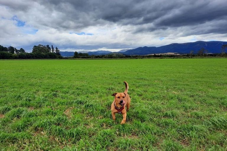 Photo of property in 410 Harmans Gorge Road, View Hill, Oxford, 7495