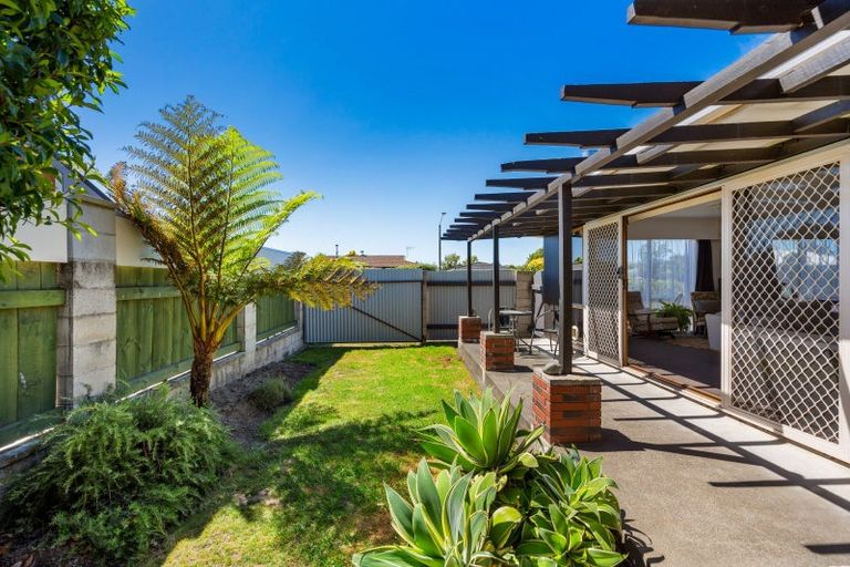 Photo of property in 55 Guppy Road, Greenmeadows, Napier, 4112