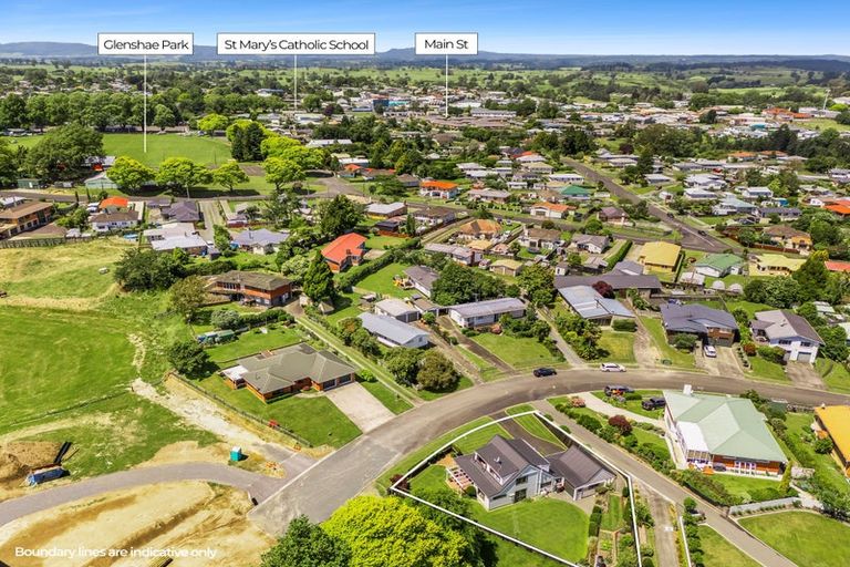 Photo of property in 20 Thornton Street, Putaruru, 3411