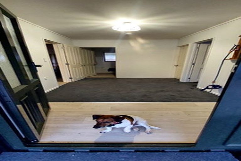 Photo of property in 68 Wiroa Road, Kerikeri, 0293