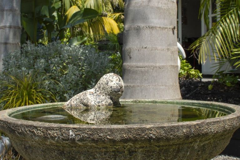 Photo of property in 107 Hollister Lane, Ohauiti, Tauranga, 3112