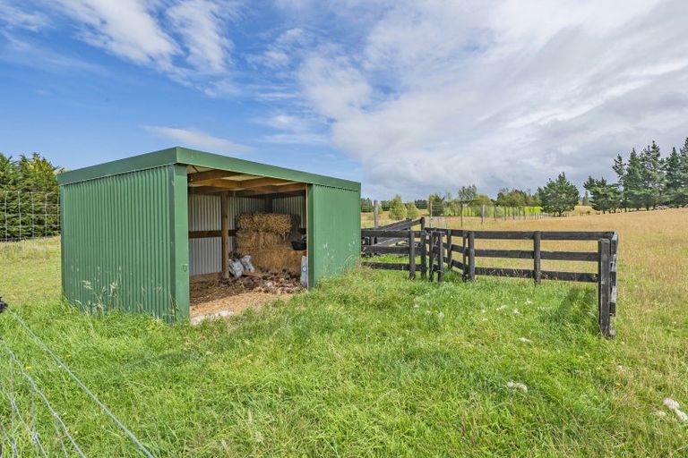 Photo of property in 249 Marshmans Road, Ashley, Rangiora, 7477