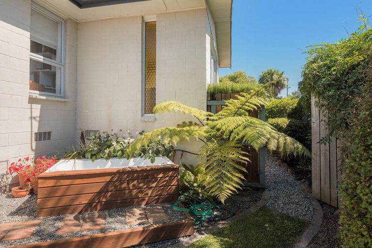 Photo of property in 217 Howick Road, Witherlea, Blenheim, 7201