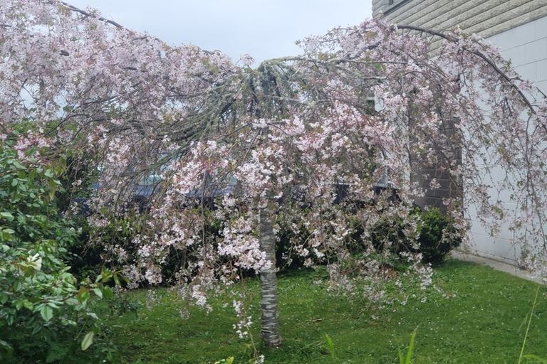 Photo of property in 17 Hakanoa Street, Huntly, 3700