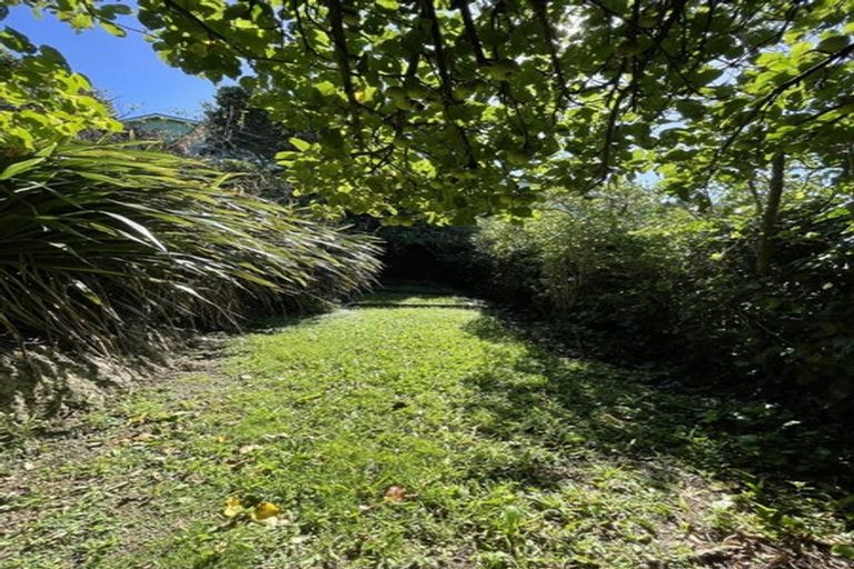 Photo of property in 19 Oku Street, Island Bay, Wellington, 6023