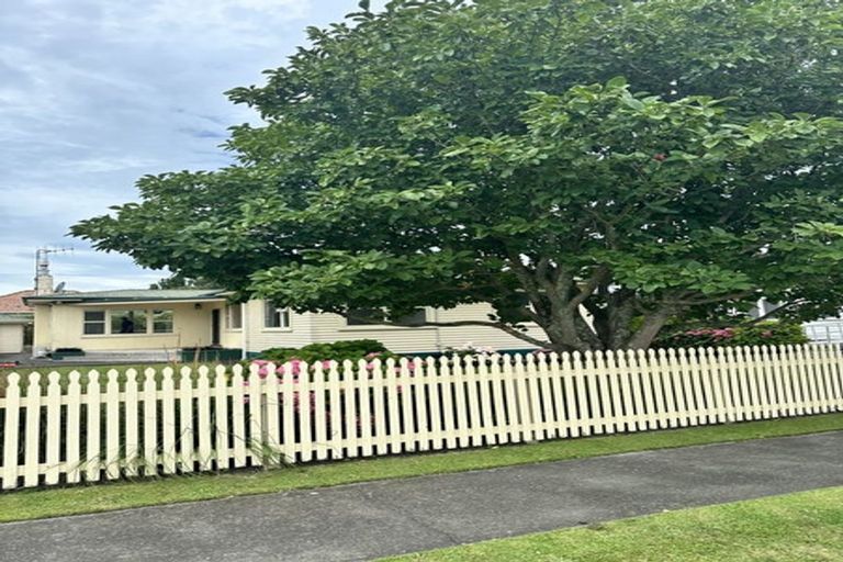 Photo of property in 1110 Allenby Street, Akina, Hastings, 4122