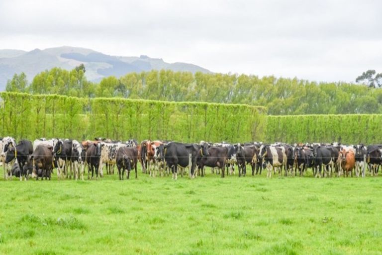 Photo of property in 939 Hudsons Road, Motukarara, Tai Tapu, 7674