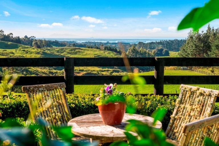 Photo of property in 971b Whakamarama Road, Whakamarama, Tauranga, 3179