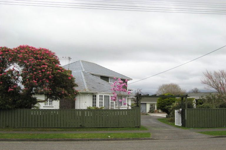 Photo of property in 160 Winchester Street, Levin, 5510