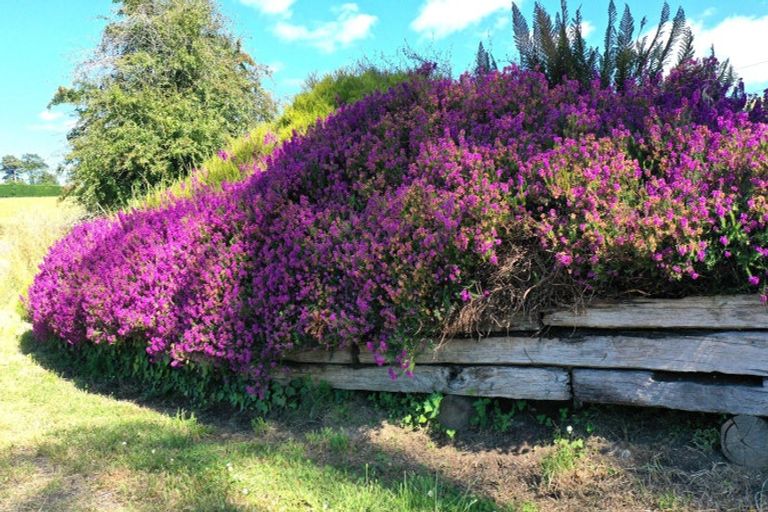 Photo of property in 979 Wyndham Letterbox Road, Glenham, Wyndham, 9891