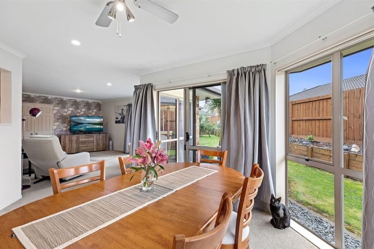 Photo of property in 87 Awaiti Place, Hairini, Tauranga, 3112